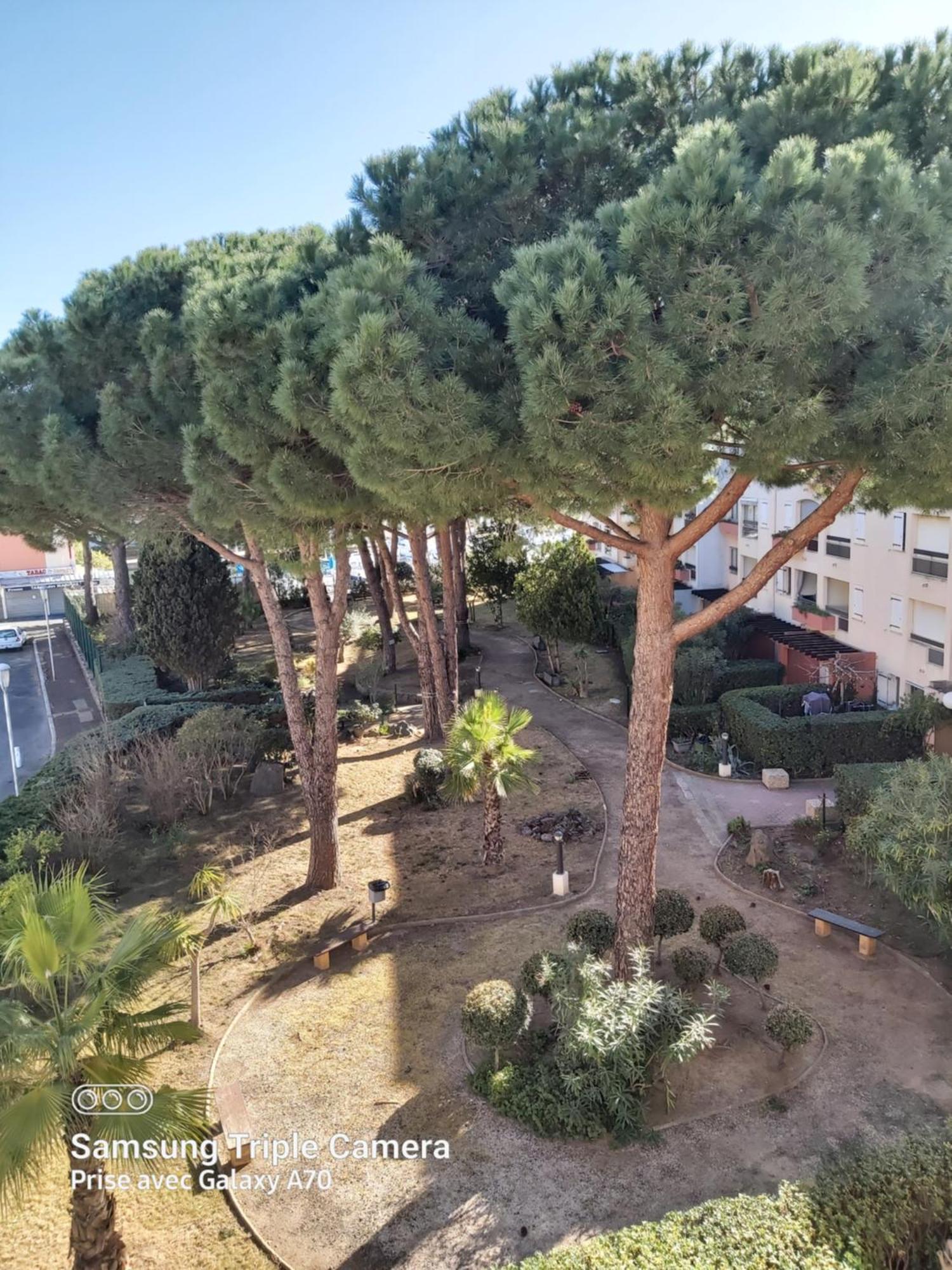 Coquet Studio Centre Port Cap D'Agde Kültér fotó